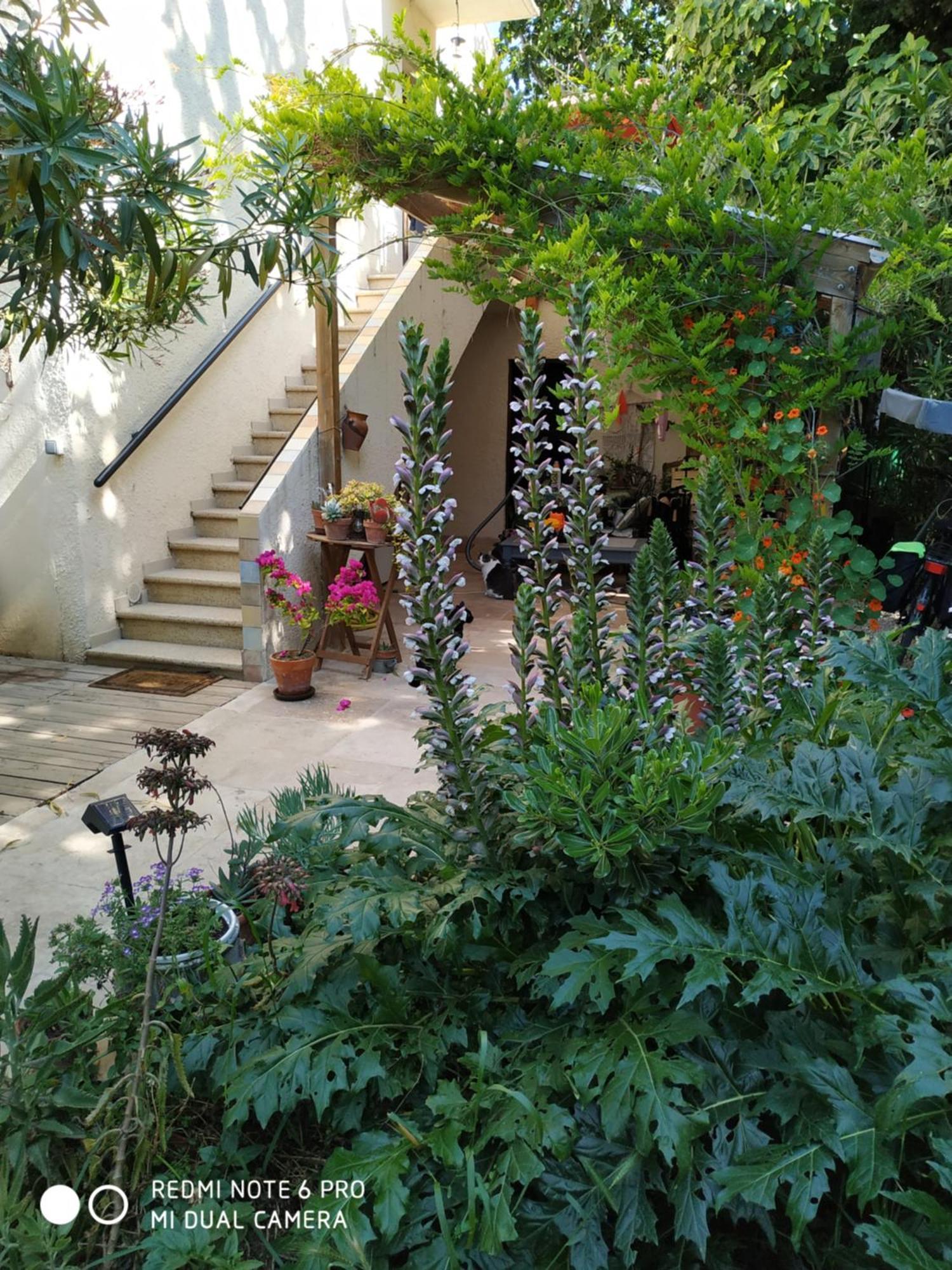 En Ville Avec Un Air De Campagne Arles Exteriör bild